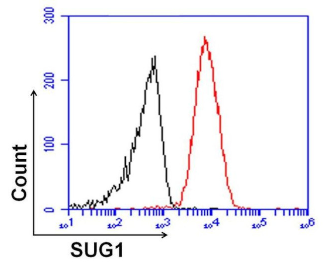 PSMC5 Antibody in Flow Cytometry (Flow)