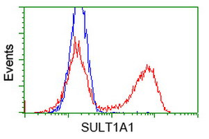 SULT1A1 Antibody in Flow Cytometry (Flow)