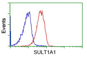 SULT1A1 Antibody in Flow Cytometry (Flow)