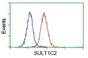 SULT1C2 Antibody in Flow Cytometry (Flow)