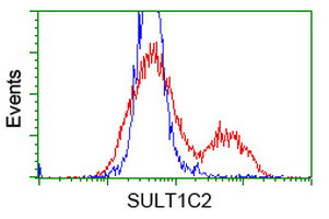 SULT1C2 Antibody in Flow Cytometry (Flow)