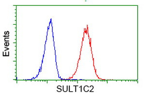 SULT1C2 Antibody in Flow Cytometry (Flow)