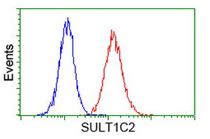 SULT1C2 Antibody in Flow Cytometry (Flow)