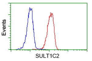 SULT1C2 Antibody in Flow Cytometry (Flow)