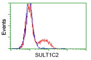 SULT1C2 Antibody in Flow Cytometry (Flow)