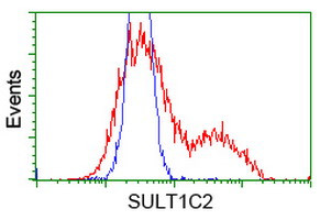 SULT1C2 Antibody in Flow Cytometry (Flow)