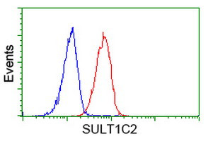 SULT1C2 Antibody in Flow Cytometry (Flow)