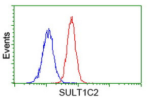 SULT1C2 Antibody in Flow Cytometry (Flow)