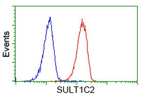 SULT1C2 Antibody in Flow Cytometry (Flow)