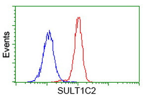 SULT1C2 Antibody in Flow Cytometry (Flow)