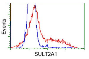 SULT2A1 Antibody in Flow Cytometry (Flow)