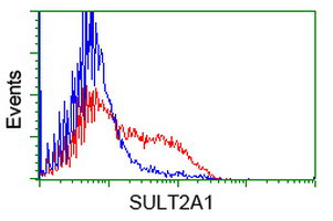SULT2A1 Antibody in Flow Cytometry (Flow)