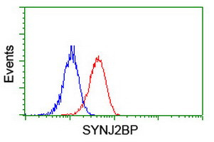 SYNJ2BP Antibody in Flow Cytometry (Flow)