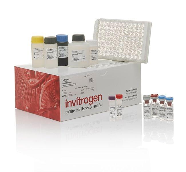 Human Serpin A5/Protein C Inhibitor ELISA Kit (EH412RB)