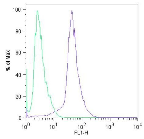 SOX2 Antibody in Flow Cytometry (Flow)