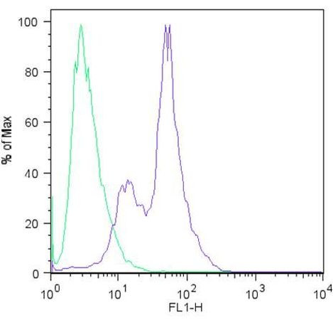 SOX2 Antibody in Flow Cytometry (Flow)