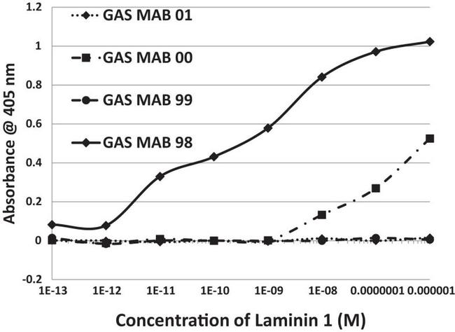 Streptococcus Group A Antibody in ELISA (ELISA)