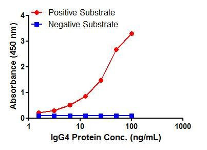 IgG4 Antibody in ELISA (ELISA)