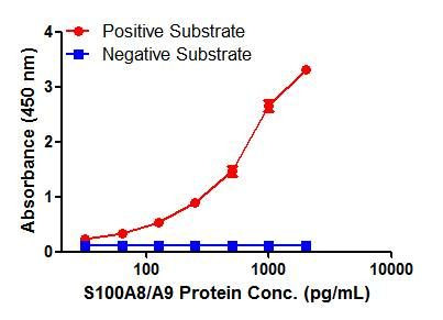 S100A8/A9 Antibody in ELISA (ELISA)