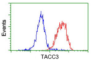 TACC3 Antibody in Flow Cytometry (Flow)
