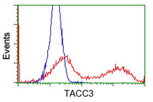 TACC3 Antibody in Flow Cytometry (Flow)