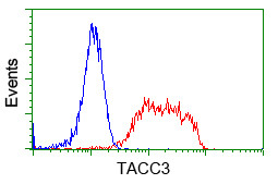 TACC3 Antibody in Flow Cytometry (Flow)