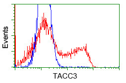 TACC3 Antibody in Flow Cytometry (Flow)