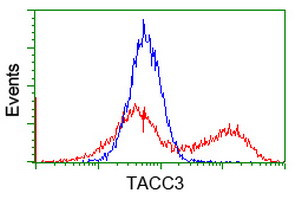 TACC3 Antibody in Flow Cytometry (Flow)