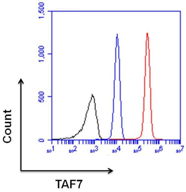 TAF7 Antibody in Flow Cytometry (Flow)