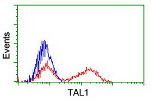 TAL1 Antibody in Flow Cytometry (Flow)