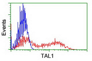 TAL1 Antibody in Flow Cytometry (Flow)