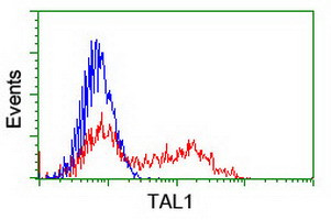 TAL1 Antibody in Flow Cytometry (Flow)