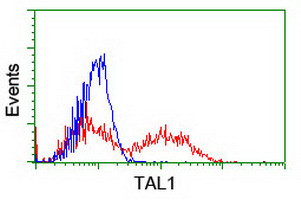 TAL1 Antibody in Flow Cytometry (Flow)