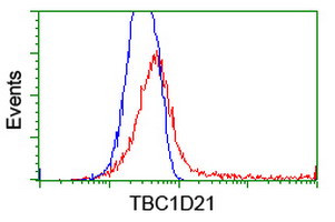 TBC1D21 Antibody in Flow Cytometry (Flow)