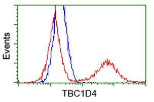 TBC1D4 Antibody in Flow Cytometry (Flow)