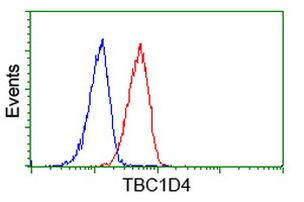 TBC1D4 Antibody in Flow Cytometry (Flow)