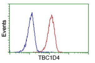 TBC1D4 Antibody in Flow Cytometry (Flow)