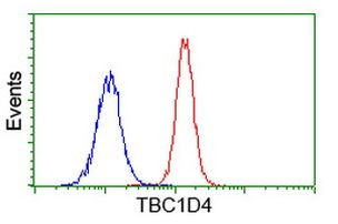 TBC1D4 Antibody in Flow Cytometry (Flow)