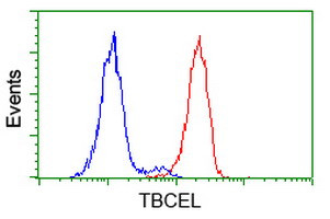 TBCEL Antibody in Flow Cytometry (Flow)