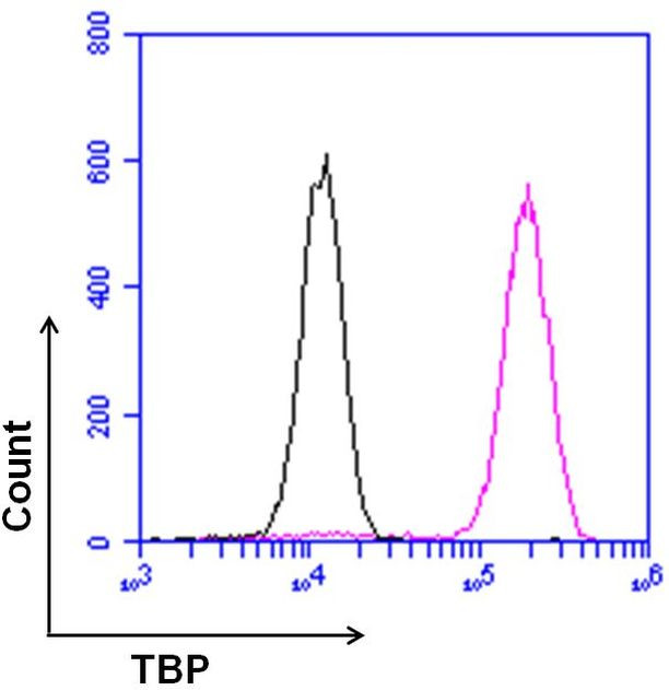TBP Antibody in Flow Cytometry (Flow)
