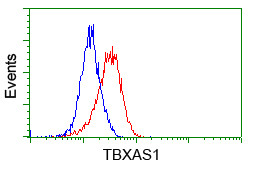 TBXAS Antibody in Flow Cytometry (Flow)