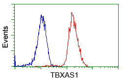 TBXAS Antibody in Flow Cytometry (Flow)