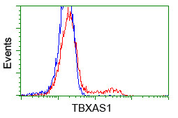 TBXAS Antibody in Flow Cytometry (Flow)