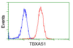 TBXAS Antibody in Flow Cytometry (Flow)