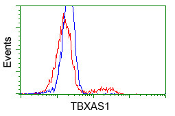 TBXAS Antibody in Flow Cytometry (Flow)