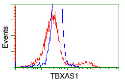 TBXAS Antibody in Flow Cytometry (Flow)