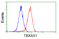 TBXAS Antibody in Flow Cytometry (Flow)