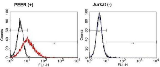 TCR gamma/delta Antibody