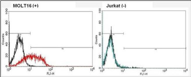 TCR V alpha 2 Antibody