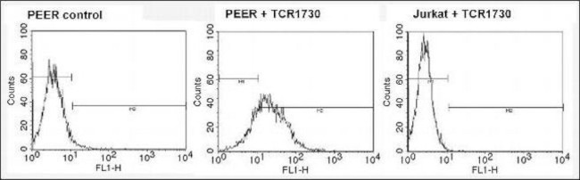 TCR V delta 1 Antibody